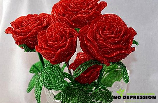 איך להכין ורד מחרוזים: סדנאות על אריגה