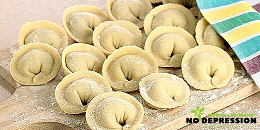 How to make dough for delicious homemade dumplings