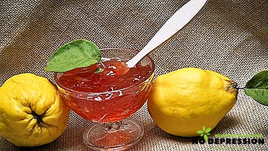 कैसे सबसे स्वादिष्ट quince जाम पकाने के लिए