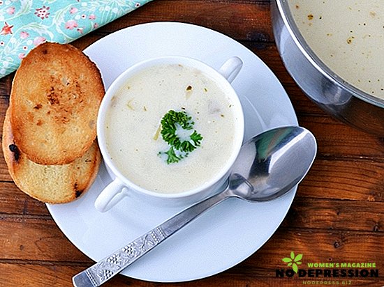 Cara memasak sup keju dengan keju leleh