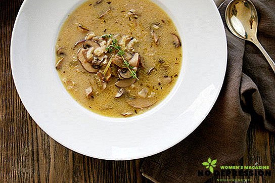Comment faire cuire une délicieuse soupe aux champignons: recettes étape par étape