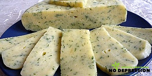 Jak vařit lahodný sýr z tvarohu doma