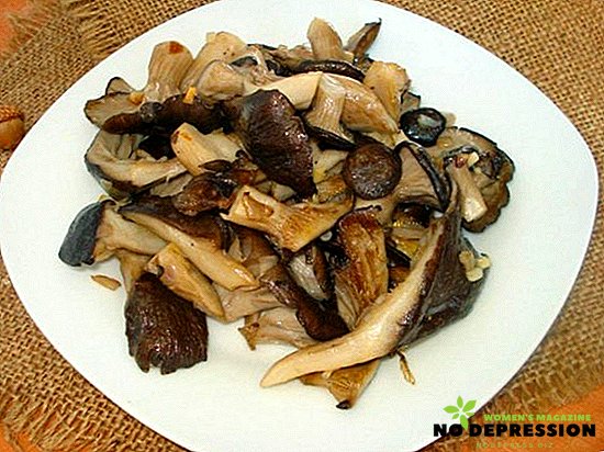 How delicious to fry oyster mushrooms in a pan