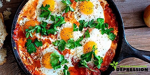 Kuidas küpsetatud munad süüa tomatitega ja sibulaga