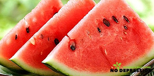 Hvad er kalorieindholdet i vandmelon, hvor meget det kan bruges til vægttab