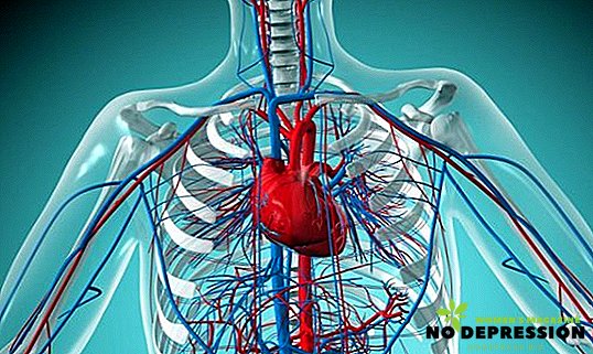 Τι να επιλέξετε βιταμίνες για την καρδιά και τα αιμοφόρα αγγεία