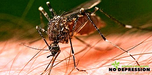 Hvilken lugt afviser kraftigt myg