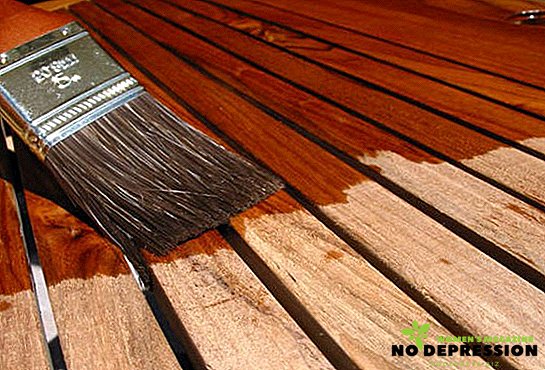 Apa yang perlu dipilih untuk pemadaman kayu daripada membusuk di luar dan dalam