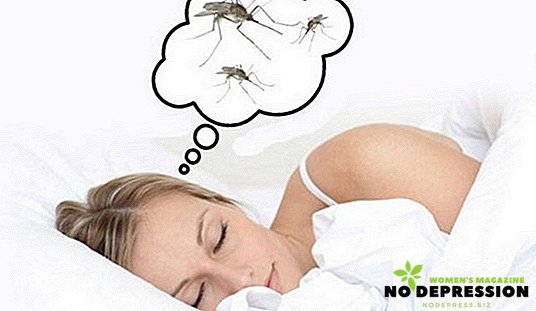 Myg i lejligheden - vi slippe af med tilgængelige midler
