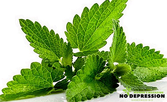 Medicinal properties of peppermint and contraindications