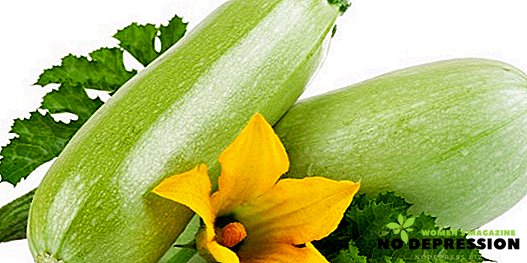 Piatti dietetici leggeri a base di zucchine per dimagrire