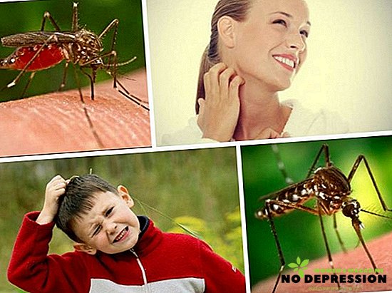 मच्छरों, मिडज और अन्य कीड़ों से छुटकारा पाने के लोक तरीके