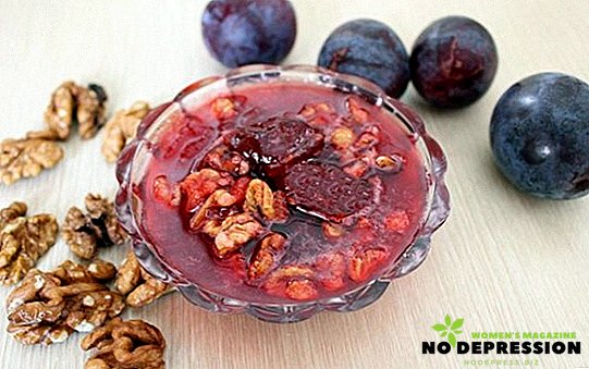 Unusual recipes of jam with the addition of walnuts
