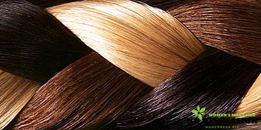 Paleta común de colores para el cabello.