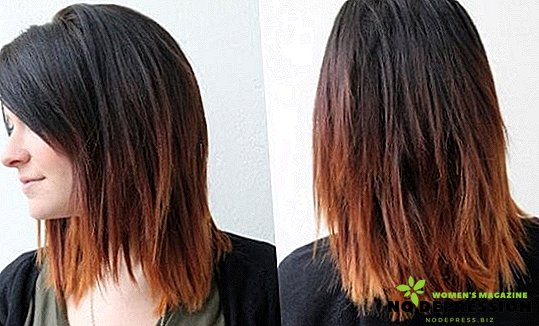Ombre dyeing for dark hair: types, photos, technique