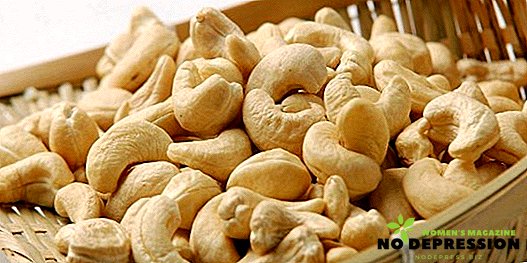 Cashewnötter: Dagliga priser, hälsofördelar och skada