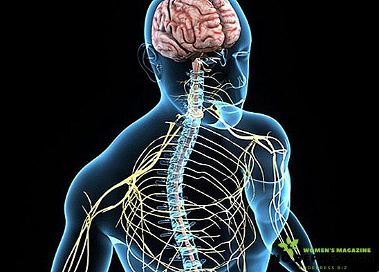 Periferik sinir sisteminin ana hastalıkları