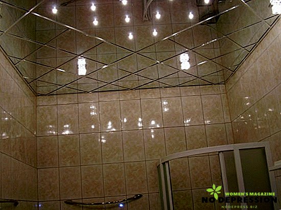 Voor een keuze: welk plafond in de badkamer is beter?