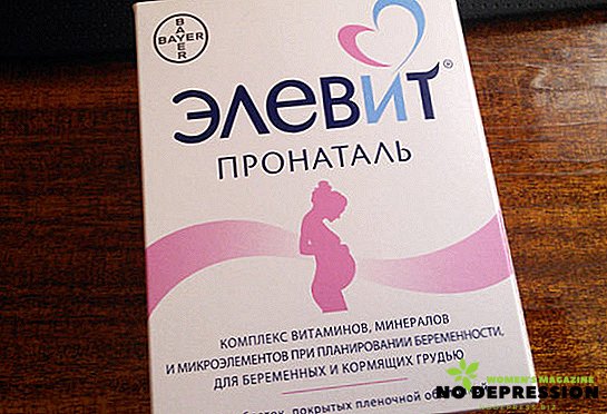 Indicações de uso Elevit Pronatal, instruções e revisões