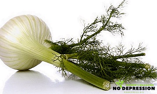 Propriedades úteis de erva-doce e seu uso em medicina e culinária