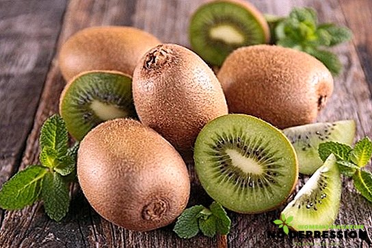 Příznivé vlastnosti ovoce kiwi
