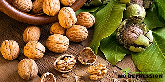Useful properties of walnut, which you did not know