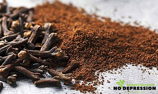 Useful properties and the use of cloves for the treatment of diseases
