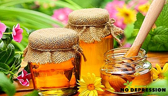 蜂蜜の有用な性質および使用する禁忌