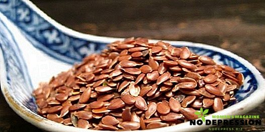 Proprietà utili dei semi di lino, come assumerli per il trattamento e per la perdita di peso