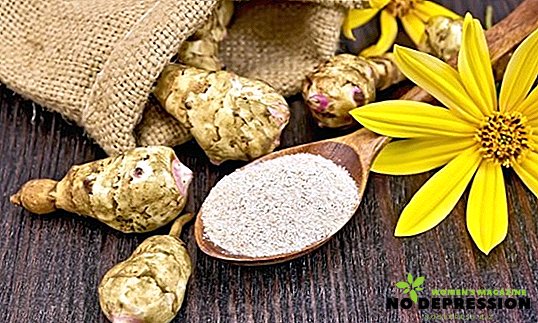 The benefits of Jerusalem artichoke and cooking recipes for diabetes