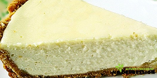 Steg-for-trin opskrifter til fremstilling af ostekage uden bagning