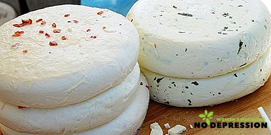 Step-by-step recipes for homemade cheese