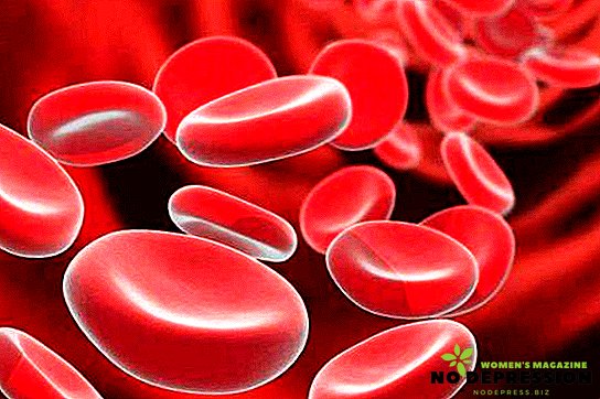 Hemoglobiinin kohoaminen miehillä: syyt, oireet, hoito