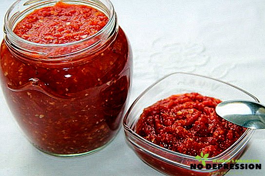 Koker adjika fra tomater og paprika