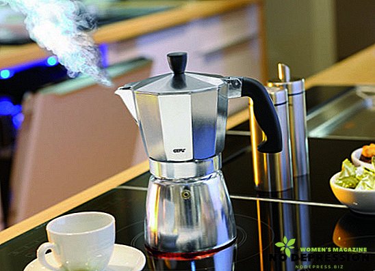Principi rada uređaja za kavu tipa gejzir