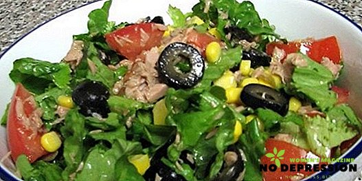 Jednostavna i dijeta konzervirane tune salate