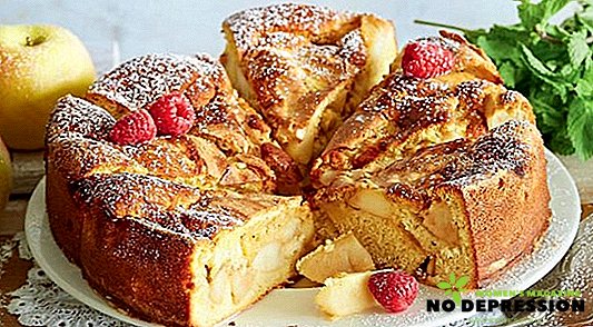 Simple and tasty recipes charlottes with apples