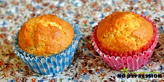 Enkle oppskrifter for hjemmelagde muffins i bokser for enhver smak