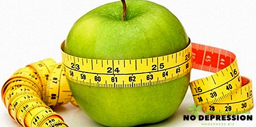 Postni dan na jabolkih: ugodnosti, možnosti, ocene in rezultati