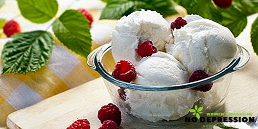 Resipi untuk ais krim buatan sendiri dengan dan tanpa pembuat ais krim