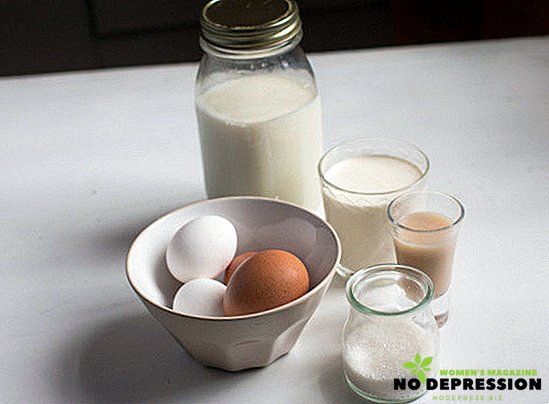 Recepti za kuhanje Eggnog doma