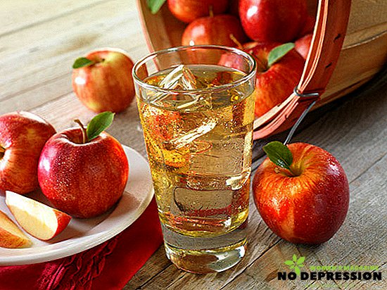 Recepty kompót z čerstvých jabĺk