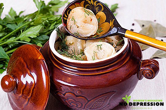 Recepten voor het koken van dumplings in een pot in de oven en magnetron