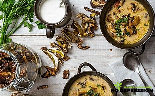 Ricette per la cottura di zuppa di funghi porcini secchi e surgelati