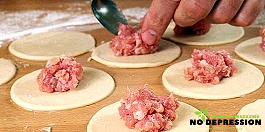 Recept för utsökt malet kött för dumplings