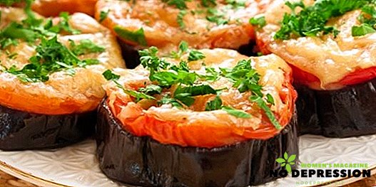 Oppskrifter for bakt eggplanter med tomater og ost