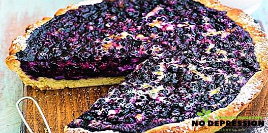 Søde hjemmelavede Blueberry Pies Opskrifter