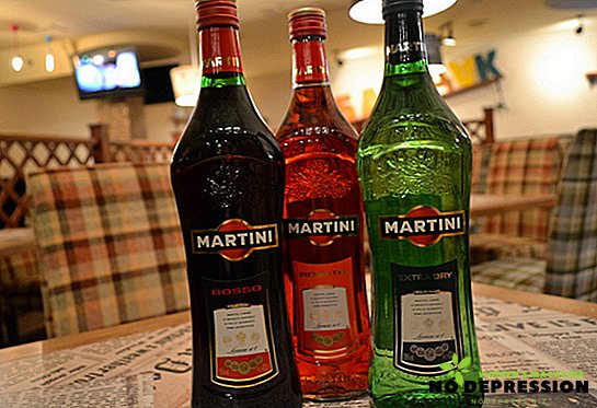 עם איזה חטיף הם שותים מרטיני: הכללים להגשת משקה ומתכונים