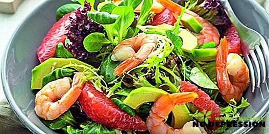 Shrimp salads - a paradise for seafood lovers