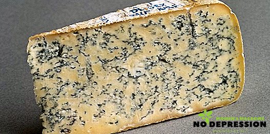 Zilais siers: veidi, nosaukumi un produkta īpašības
